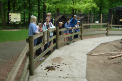 105--w mini zoo-1
